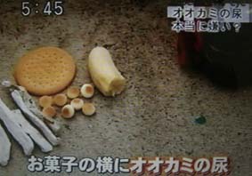 狼の尿の臭いがどのくらい猿に効果があるのか、実際に東北サファリパークにて実験しました