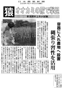クリックして記事を拡大できます

日本農業新聞　平成21年9月25日
オオカミの尿は全国の猿外害に悩む地域で効果の有無を確かめる試験が行われている。村上市でも旧市町村５地区１０ヵ所に２ヶ月限定で設置した。
猿は野菜が収穫時期を迎えていることが分かる。サツマイモ、トウモロコシ、ナス、トマトなど、収穫を始めようかと思った矢先に被害遭っている。
網を張ったが効果はなかった。そこで地元の区長を通じて市に連絡。早速、市の猿害パトロールが駆けつけ、「ウルフピー」の設置になった。
設置後、毎日「猿害対策実証試験業務日誌」に出没状況を記入しているが、現在のところは出没は見られない。
仕様書によれば高さ３０～６０センチ、間隔３～６メートルおきに設置するようになっている。尿が蒸発したら注ぎ足していく。
