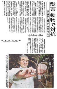 クリックして記事を拡大できます


信濃毎日新聞　平成21年11月30日
獣害　動物で対抗
県内各地で試み
農業関連資材卸販売の「長野味えさ販売」＝松本市両島＝はハイイロオオカミの尿を輸入、販売している。においが野生動物を遠ざけるという。
自宅近くに出没する猿対策に、狼尿を今年初めて購入した安曇野市穂高有明の土肥敏夫さん(61)は「安全で手軽に始められる。効果があれば人にも勧めたい」と期待していた。

